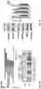 Fig. 27 - Methods of modulating RNA translation