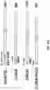 Fig. 29 - Methods of modulating RNA translation