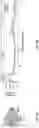 Fig. 40 - Methods of modulating RNA translation