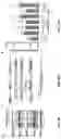 Fig. 48 - Methods of modulating RNA translation