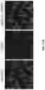 Fig. 49 - Methods of modulating RNA translation