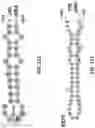 Fig. 51 - Methods of modulating RNA translation