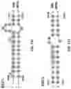 Fig. 52 - Methods of modulating RNA translation