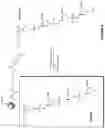 Fig. 05 - Functionally-Modified Oligonucleotides And Subunits Thereof