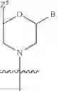 Fig. 144 - Functionally-Modified Oligonucleotides And Subunits Thereof