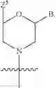 Fig. 167 - Functionally-Modified Oligonucleotides And Subunits Thereof