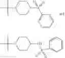Fig. 207 - Functionally-Modified Oligonucleotides And Subunits Thereof