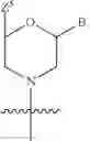 Fig. 272 - Functionally-Modified Oligonucleotides And Subunits Thereof