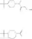 Fig. 293 - Functionally-Modified Oligonucleotides And Subunits Thereof