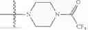 Fig. 295 - Functionally-Modified Oligonucleotides And Subunits Thereof