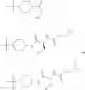 Fig. 306 - Functionally-Modified Oligonucleotides And Subunits Thereof