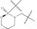 Fig. 314 - Functionally-Modified Oligonucleotides And Subunits Thereof