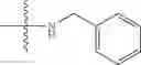 Fig. 493 - Functionally-Modified Oligonucleotides And Subunits Thereof
