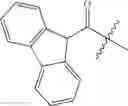 Fig. 548 - Functionally-Modified Oligonucleotides And Subunits Thereof