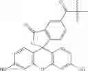 Fig. 575 - Functionally-Modified Oligonucleotides And Subunits Thereof