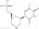 Fig. 612 - Functionally-Modified Oligonucleotides And Subunits Thereof