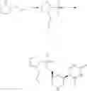 Fig. 678 - Functionally-Modified Oligonucleotides And Subunits Thereof