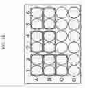 Fig. 17 - Compositions and methods for treating COVID-19