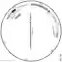 Fig. 57 - Compositions and methods for treating COVID-19