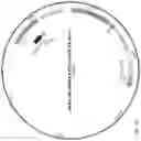 Fig. 58 - Compositions and methods for treating COVID-19