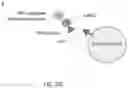Fig. 86 - Compositions and methods for treating COVID-19
