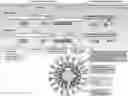 Fig. 01 - CORONAVIRUS IRNA COMPOSITIONS AND METHODS OF USE THEREOF