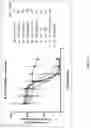 Fig. 06 - CORONAVIRUS IRNA COMPOSITIONS AND METHODS OF USE THEREOF