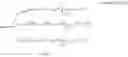 Fig. 33 - CORONAVIRUS IRNA COMPOSITIONS AND METHODS OF USE THEREOF