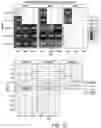 Fig. 23 - Safe harbor loci