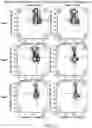 Fig. 33 - Safe harbor loci