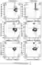 Fig. 34 - Safe harbor loci