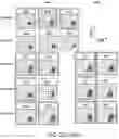 Fig. 37 - Safe harbor loci