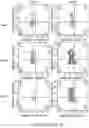 Fig. 42 - Safe harbor loci