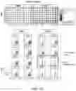 Fig. 46 - Safe harbor loci