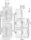 Fig. 47 - Safe harbor loci