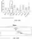 Fig. 60 - Safe harbor loci