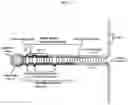 Fig. 02 - Modulatory polynucleotides