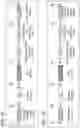 Fig. 02 - MODULATION OF REP PROTEIN ACTIVITY IN CLOSED-ENDED DNA (CEDNA) PRODUCTION