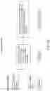 Fig. 11 - MODULATION OF REP PROTEIN ACTIVITY IN CLOSED-ENDED DNA (CEDNA) PRODUCTION