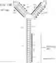 Fig. 38 - MODULATION OF REP PROTEIN ACTIVITY IN CLOSED-ENDED DNA (CEDNA) PRODUCTION