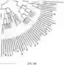 Fig. 32 - Methods for Altering Polypeptide Expression
