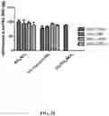 Fig. 56 - Methods for Altering Polypeptide Expression