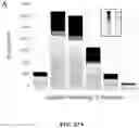 Fig. 57 - Methods for Altering Polypeptide Expression