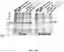 Fig. 66 - Methods for Altering Polypeptide Expression
