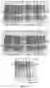 Fig. 69 - Methods for Altering Polypeptide Expression