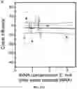 Fig. 79 - Methods for Altering Polypeptide Expression