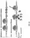 Fig. 89 - Methods for Altering Polypeptide Expression