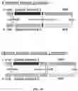 Fig. 94 - Methods for Altering Polypeptide Expression