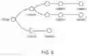Fig. 21 - GUIDED MICROBIAL REMODELING, A PLATFORM FOR THE RATIONAL IMPROVEMENT OF MICROBIAL SPECIES FOR AGRICULTURE
