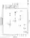Fig. 25 - GUIDED MICROBIAL REMODELING, A PLATFORM FOR THE RATIONAL IMPROVEMENT OF MICROBIAL SPECIES FOR AGRICULTURE
